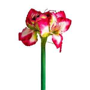 Flor Amaryllis de estilo clásico fabricado en plástico en color fucsia combinado con poliéster.