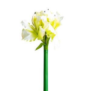 Flor Amaryllis de estilo clásico fabricado en plástico en color blanco combinado con poliéster.