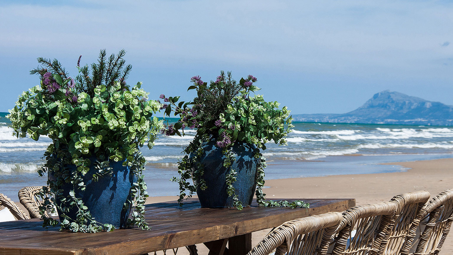 FLOR CENTAUREA - Imagen 5