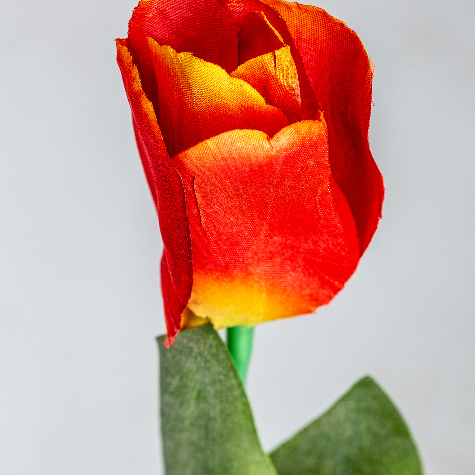 FLOR TULIPAN - Imagen 3