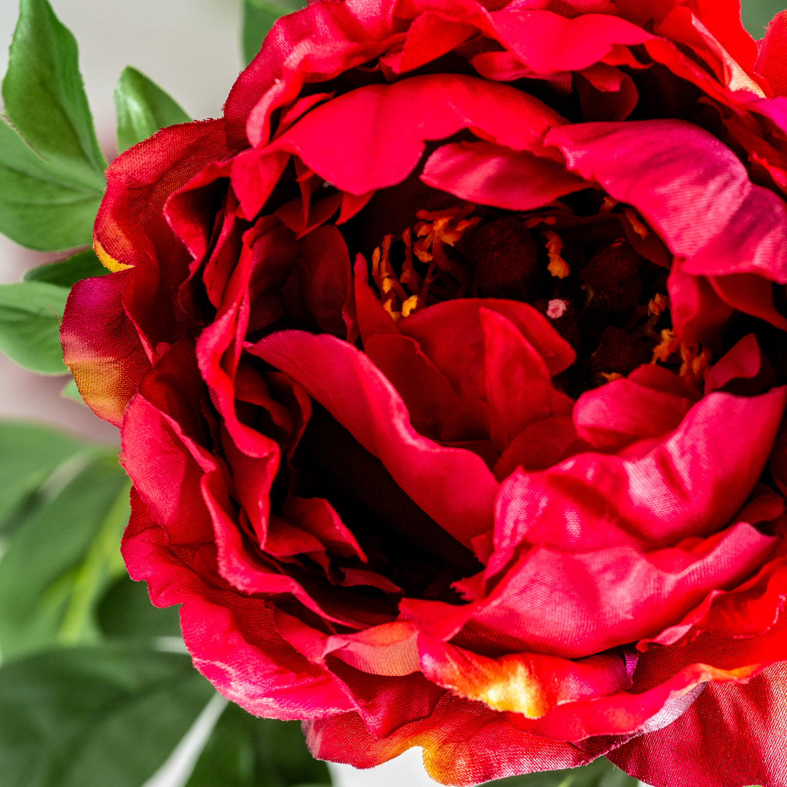 FLOR PEONIA - Imagen 3