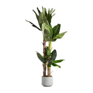 Planta Platanero de estilo colonial fabricado en poliéster en color verde combinado con plástico.