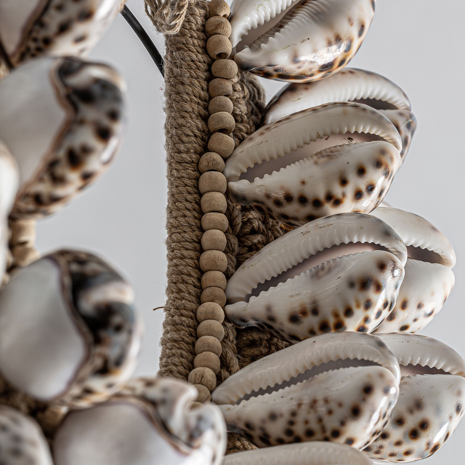 Figura Conchas - Imagen 2