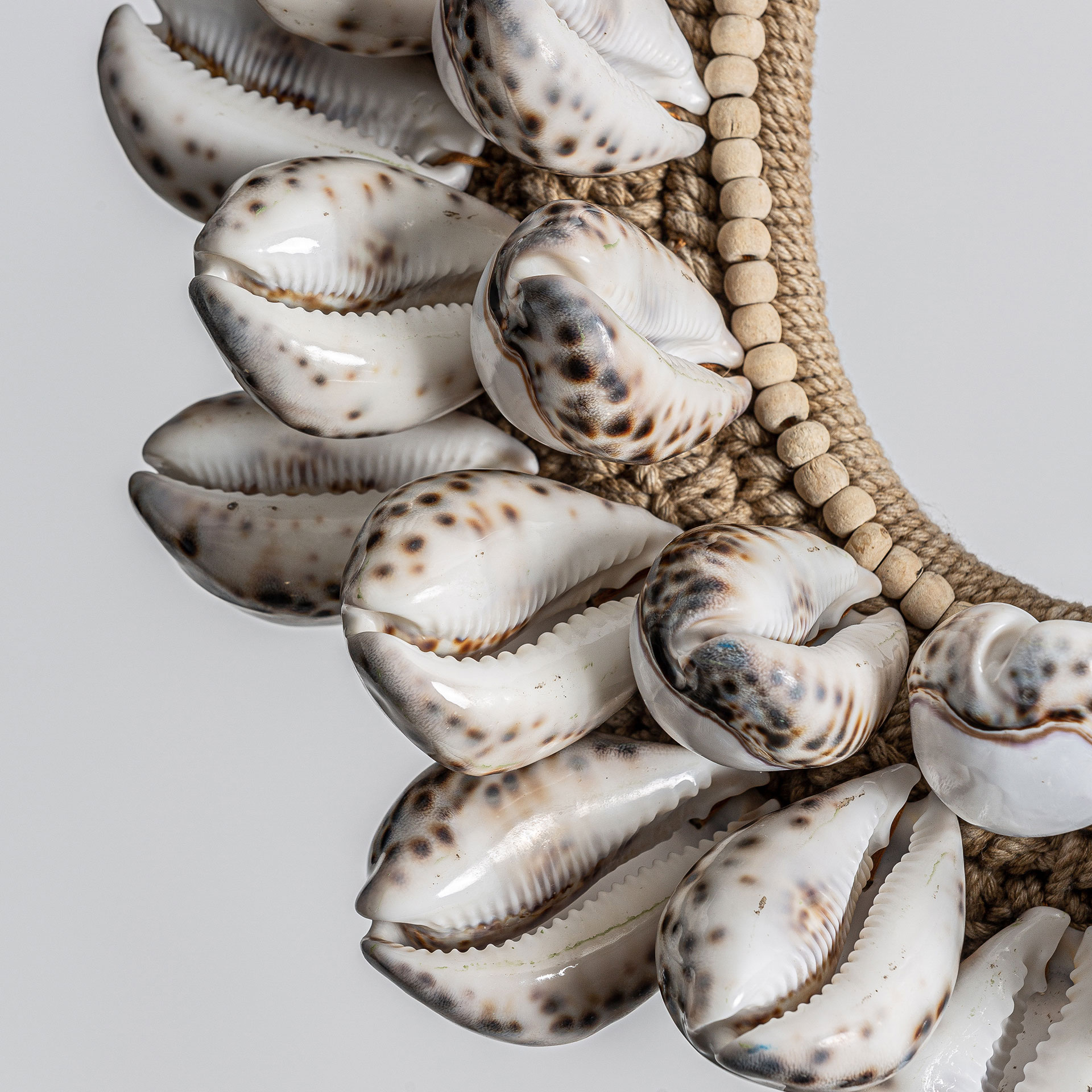 Figura Conchas - Imagen 3