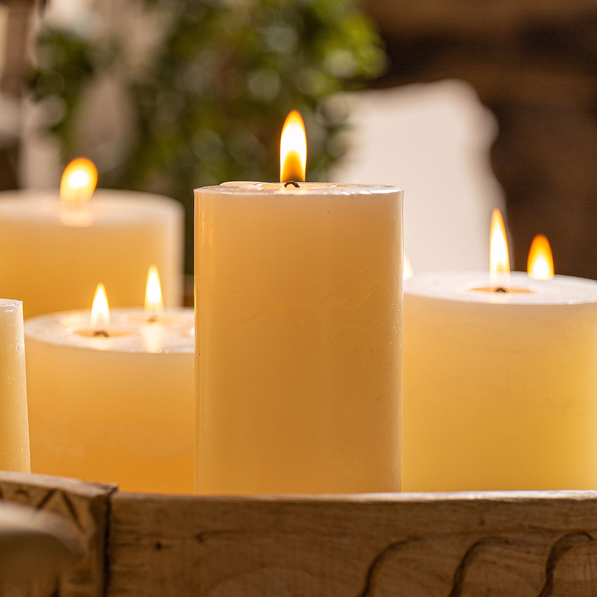 Vela Grasle - Imagen 2