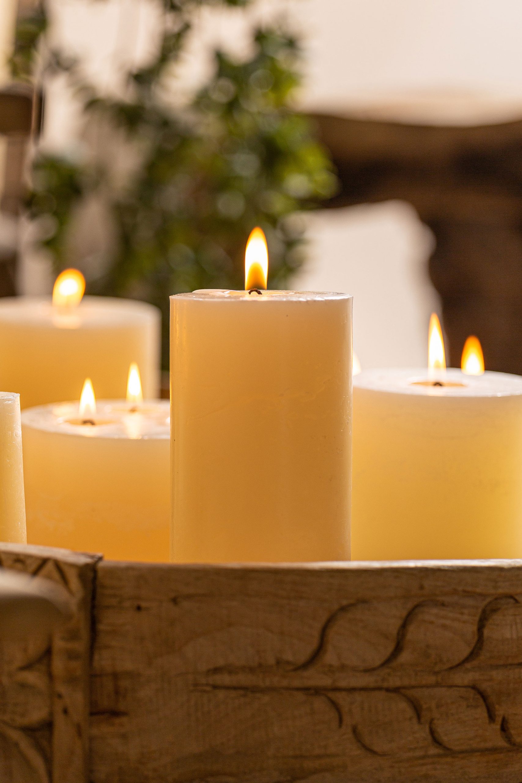 Vela Grasle - Imagen 3