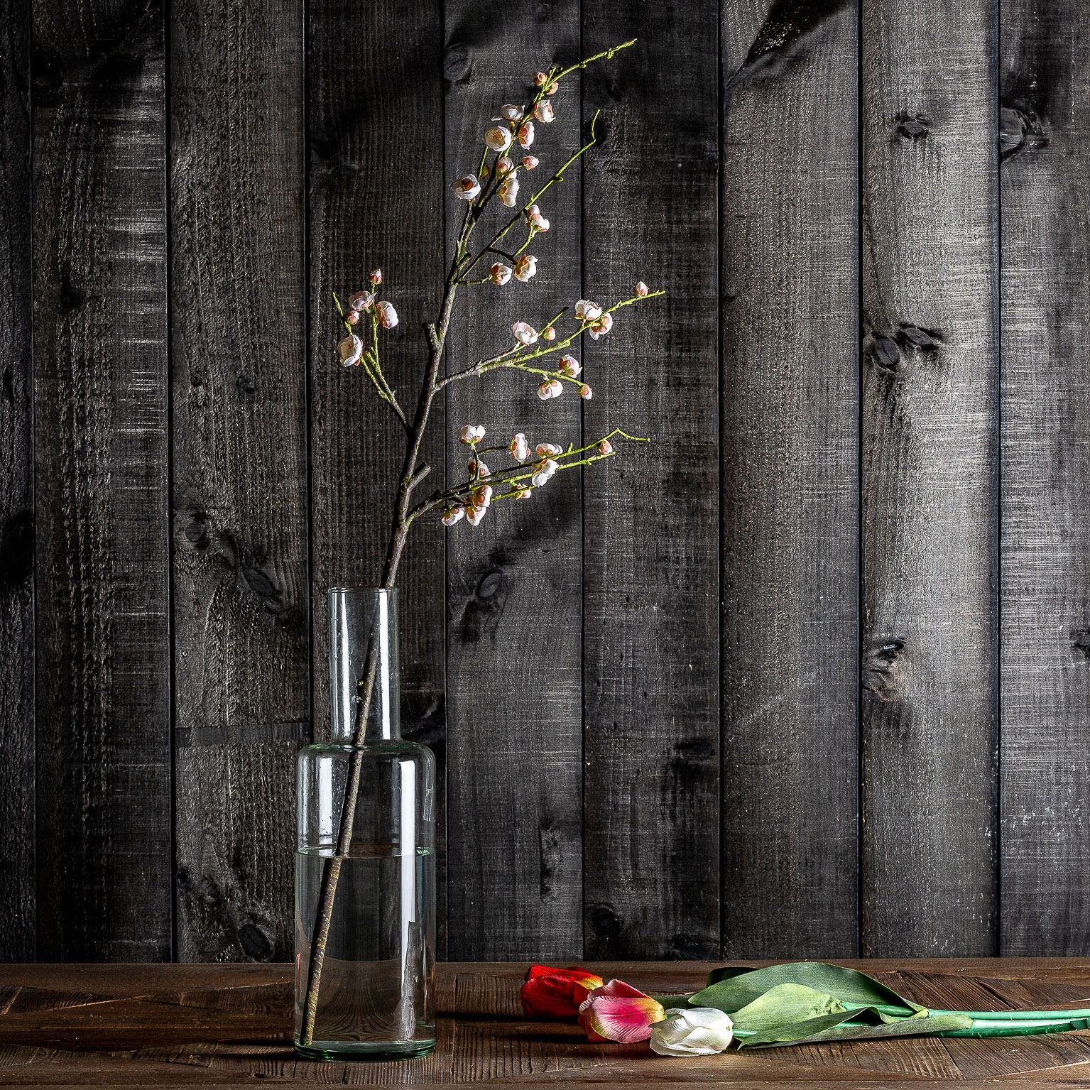 Flor Tulipan - Imagen 3