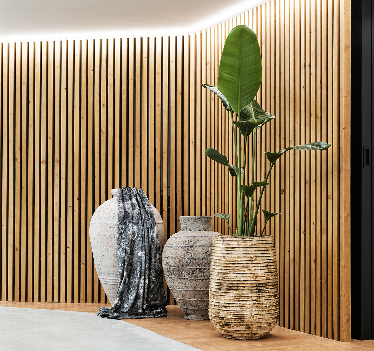 Tinaja Aleksy - Imagen 2