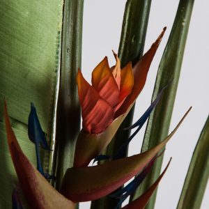 Planta Paradise de estilo colonial fabricado en poliéster en color verde combinado con plástico. Producto desmontable.