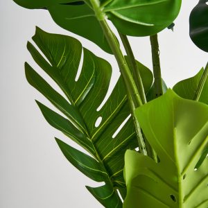 Planta Monstera de estilo colonial fabricado en poliéster en color verde.