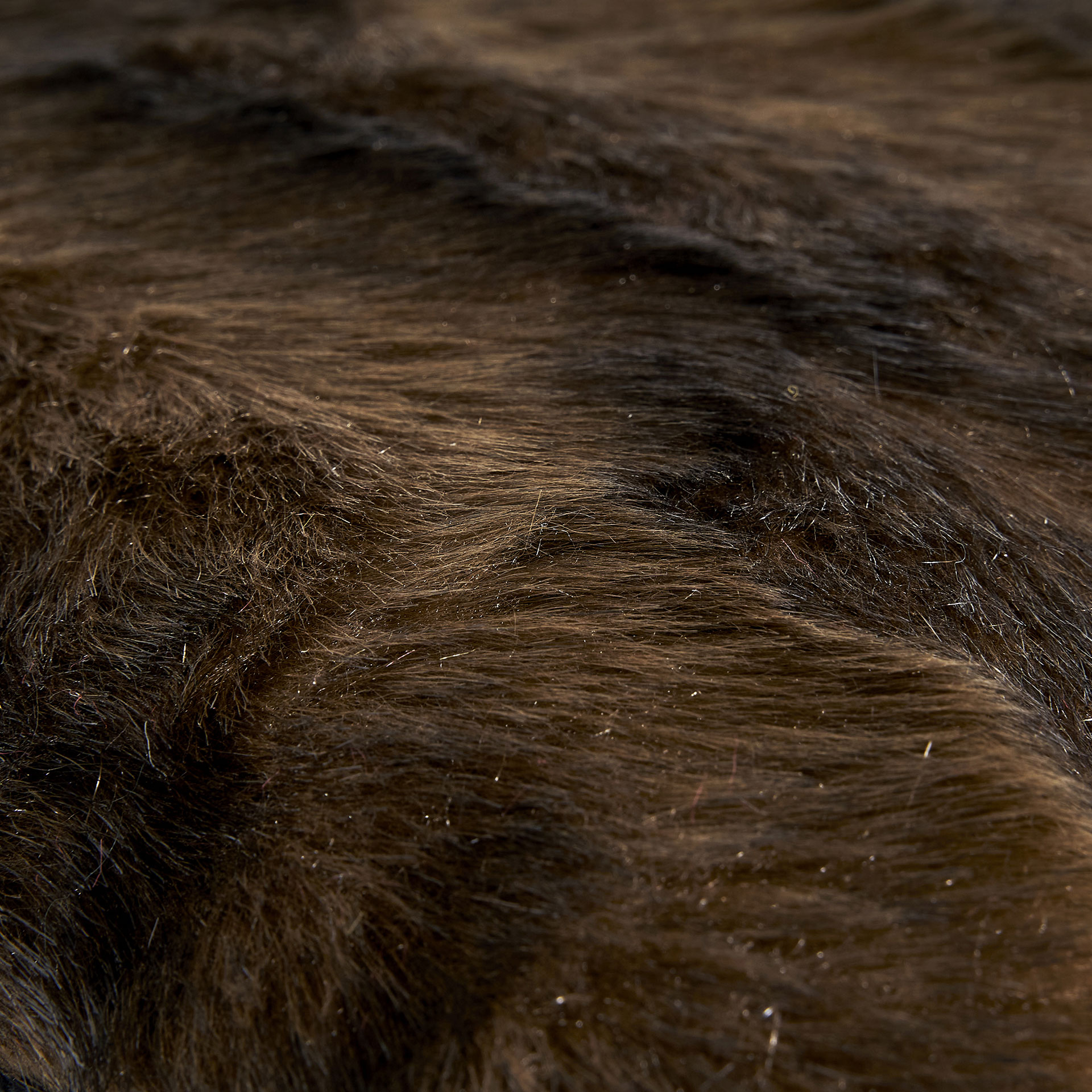 Cojín Bisón - Imagen 3