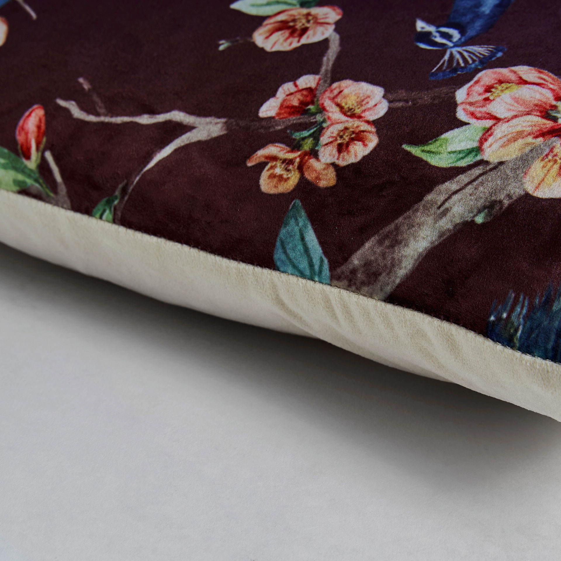 Cojín Ale - Imagen 2