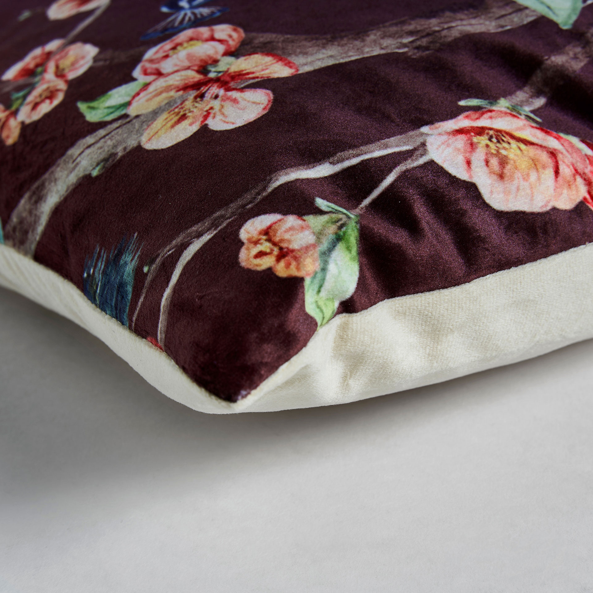 Cojín Ale - Imagen 3