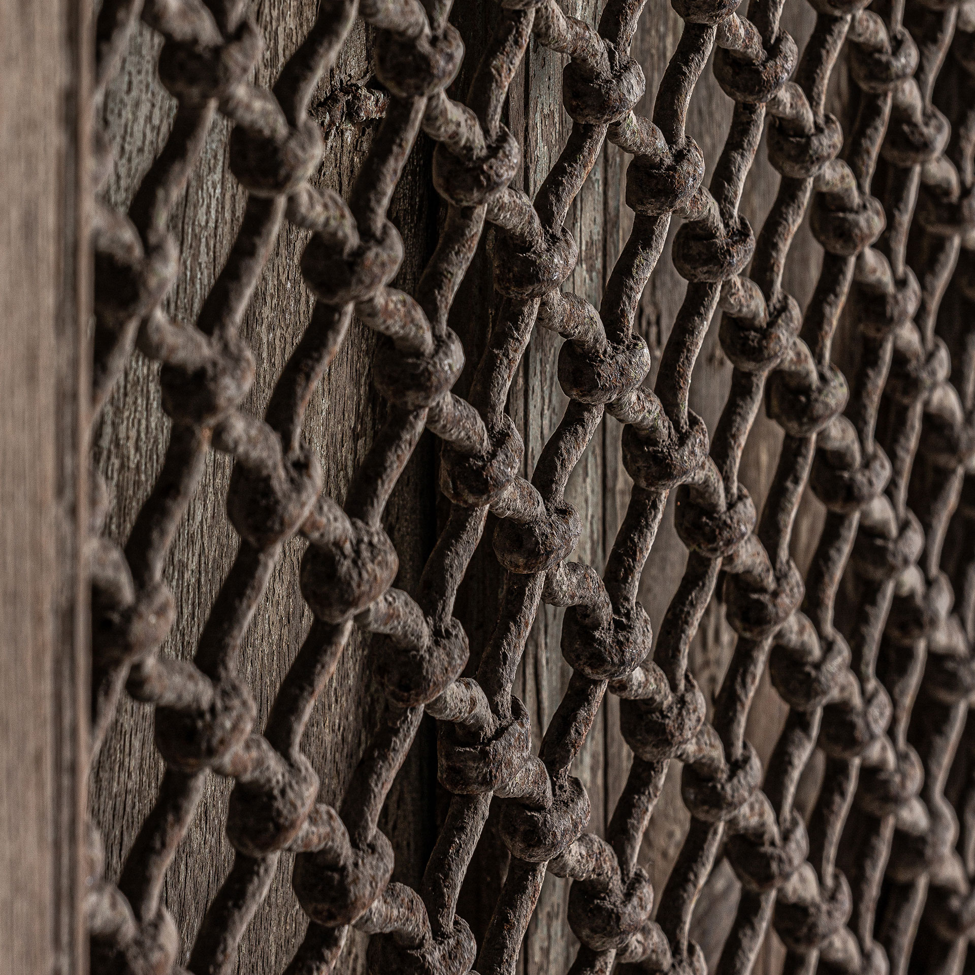 Panel Decorativo - Imagen 4