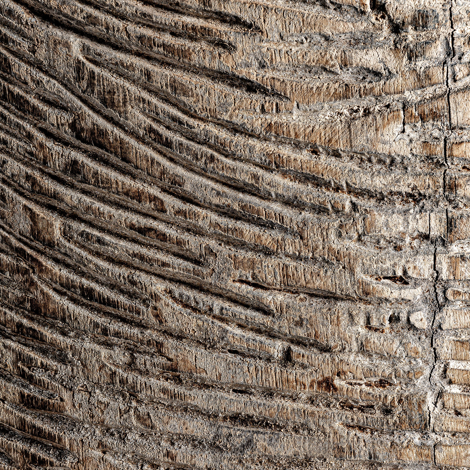 Escultura - Imagen 3