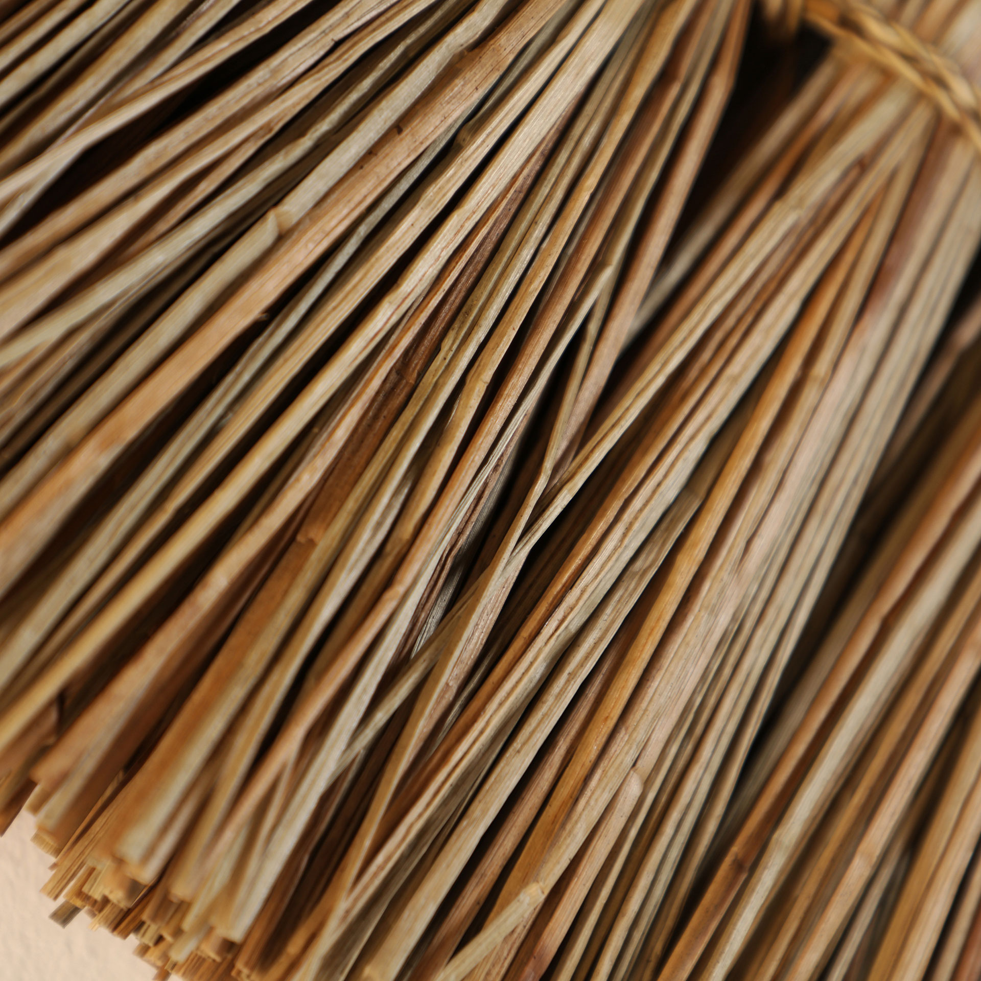 Panel Decorativo - Imagen 3