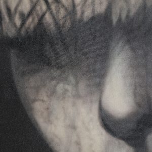 Lienzo Geos de estilo clásico fabricado en lienzo en color tonos oscuros con acabado impreso.