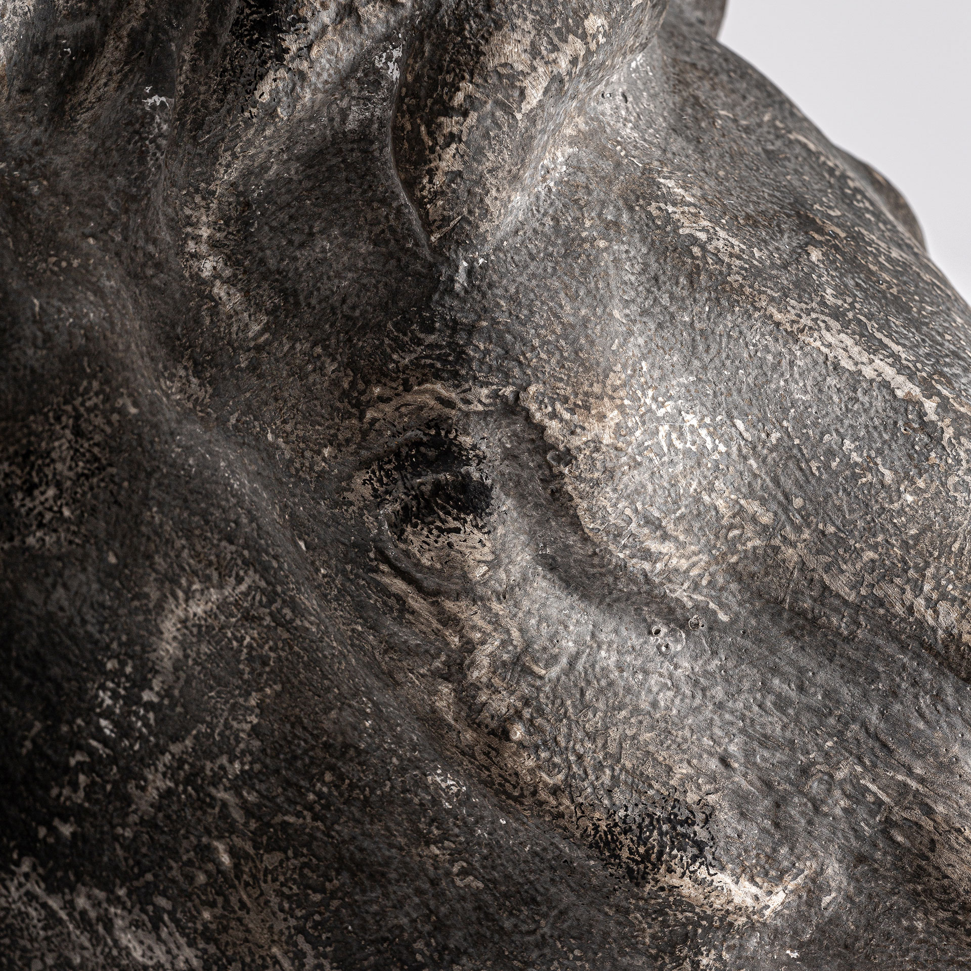 Busto Horse - Imagen 2