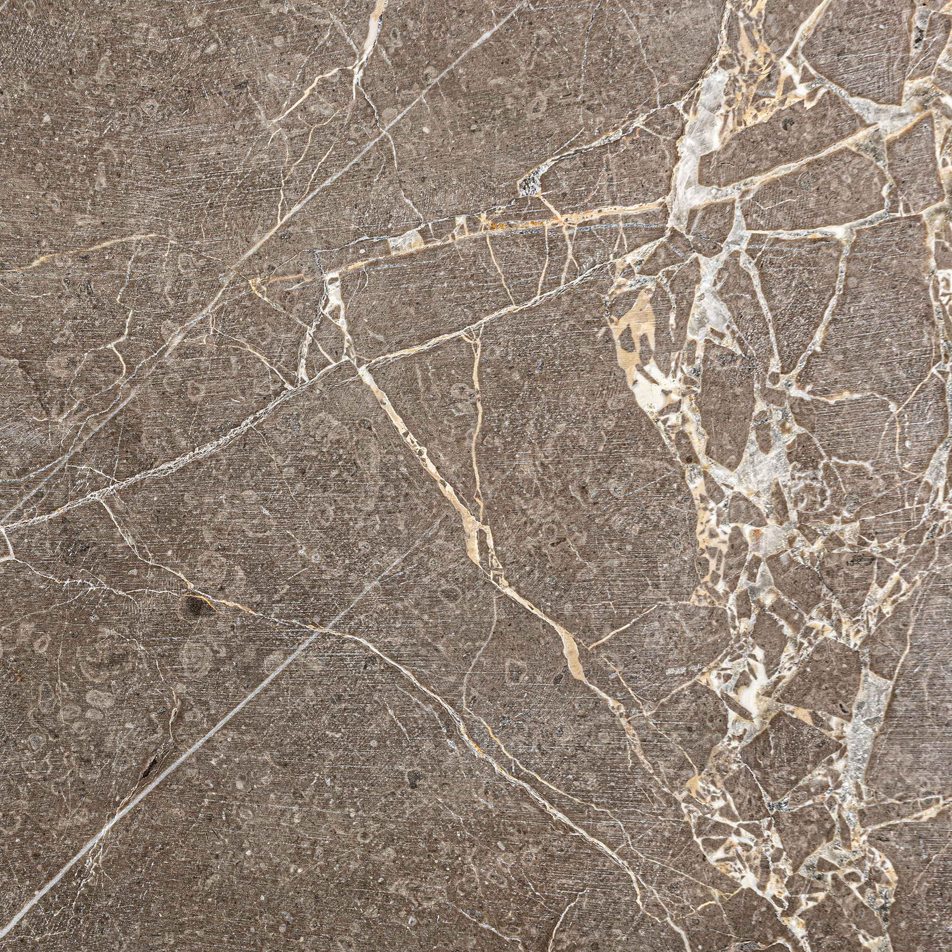 Bandeja Legyeh - Imagen 3