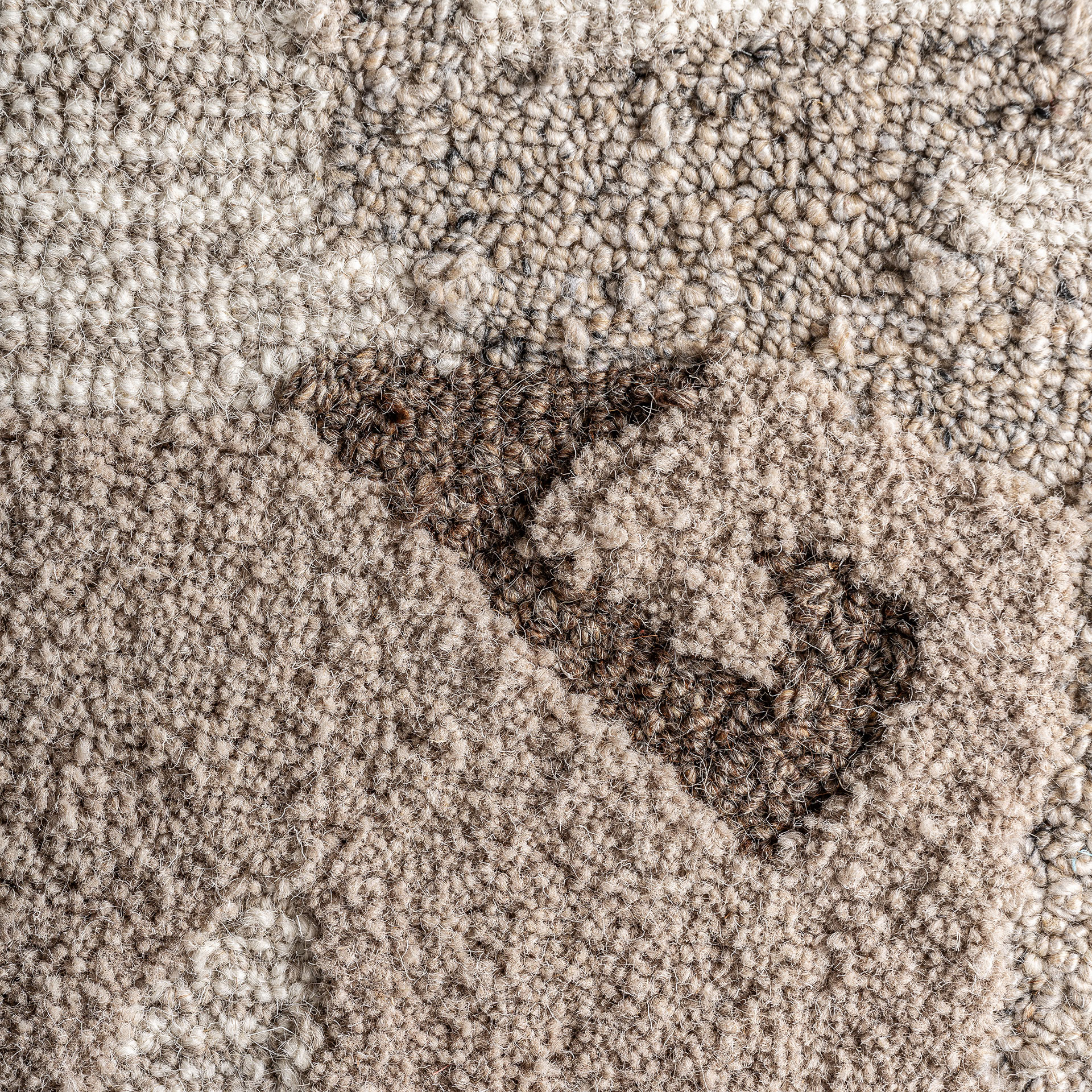 Cuadro Ivar - Imagen 2