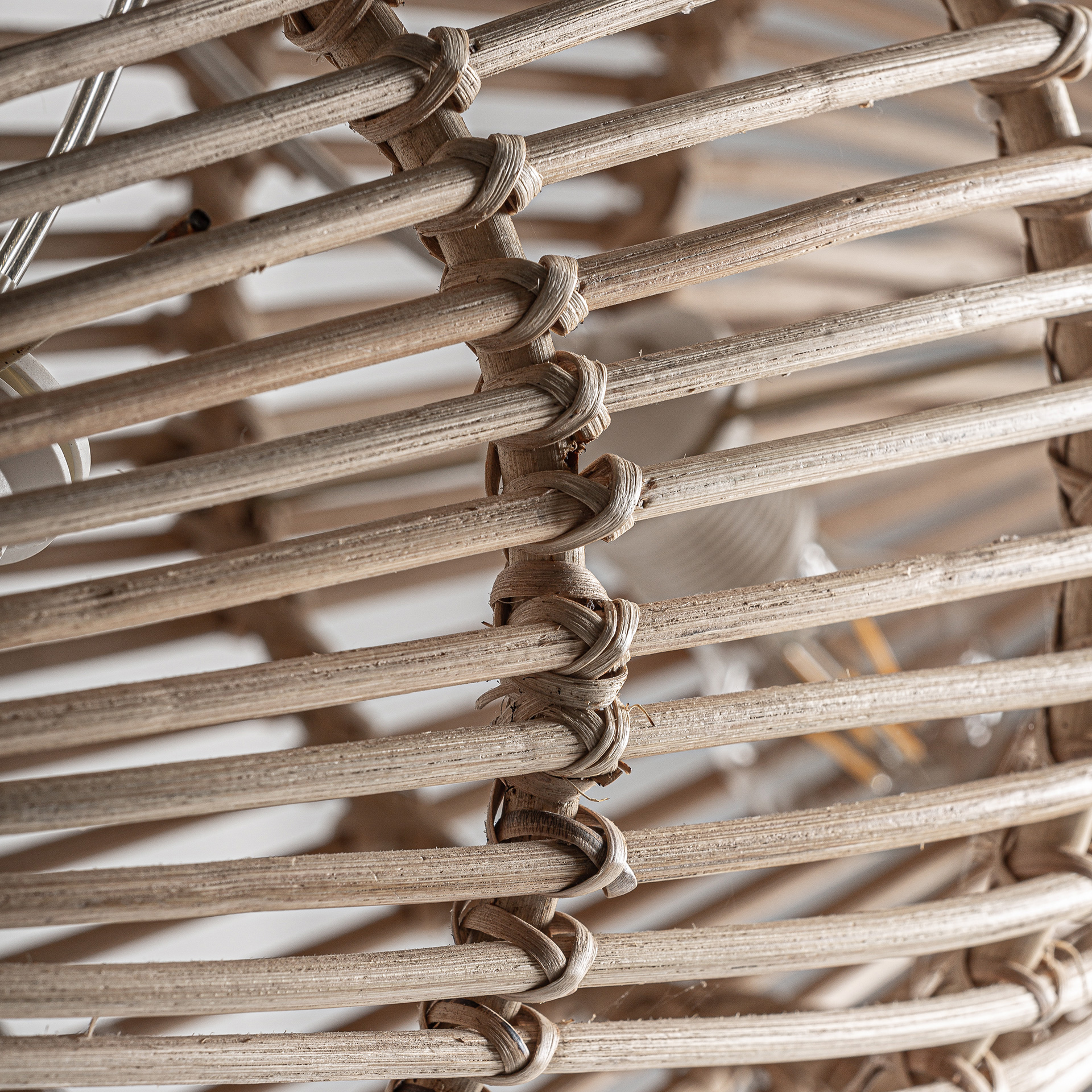 Lámpara De Colgar Fish - Imagen 2