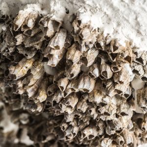 Lámpara de sobremesa thora de estilo nórdico fabricado en terracota en color blanco combinado con yute en color beige. Compatible con: 25567 34935.