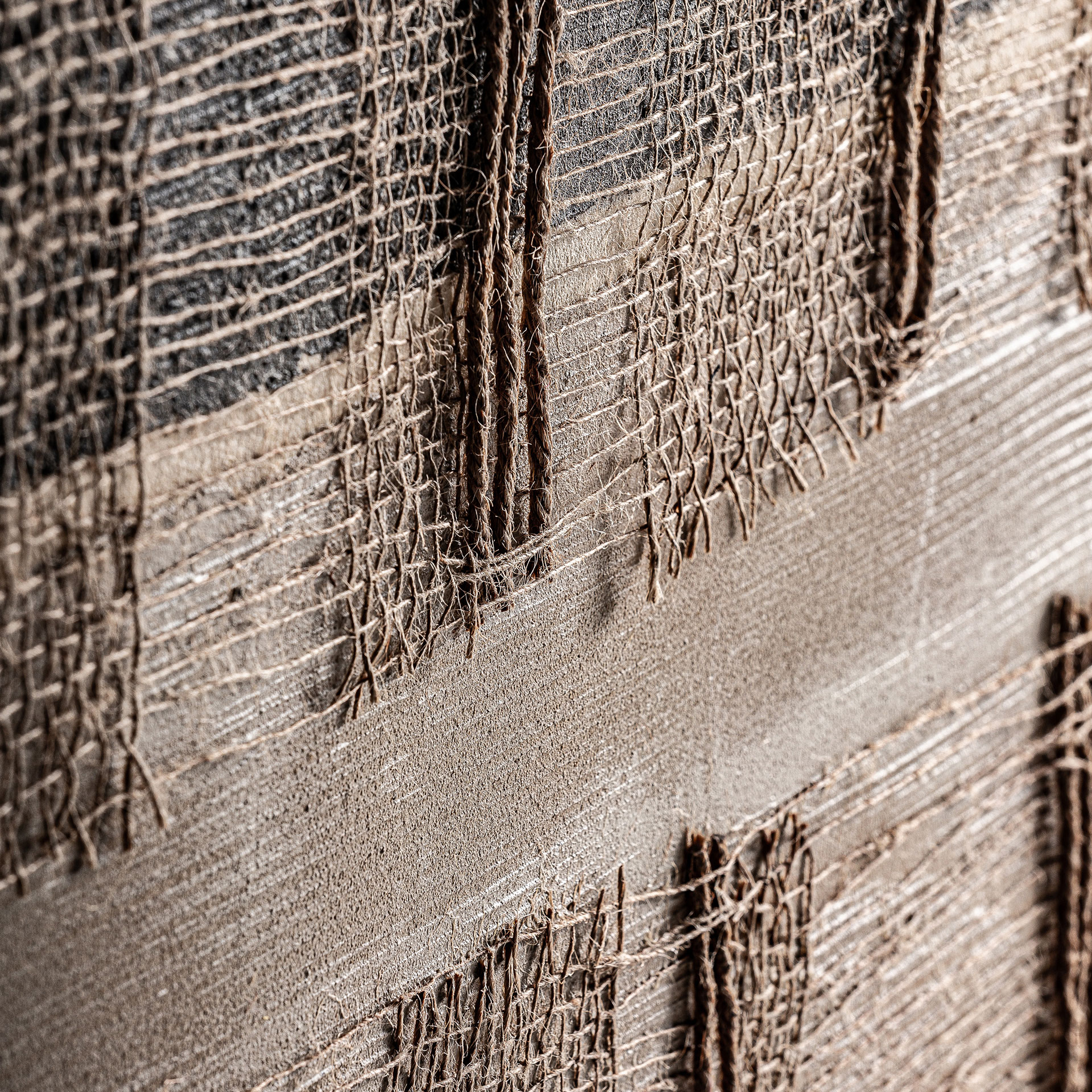 Lienzo Aslan - Imagen 2