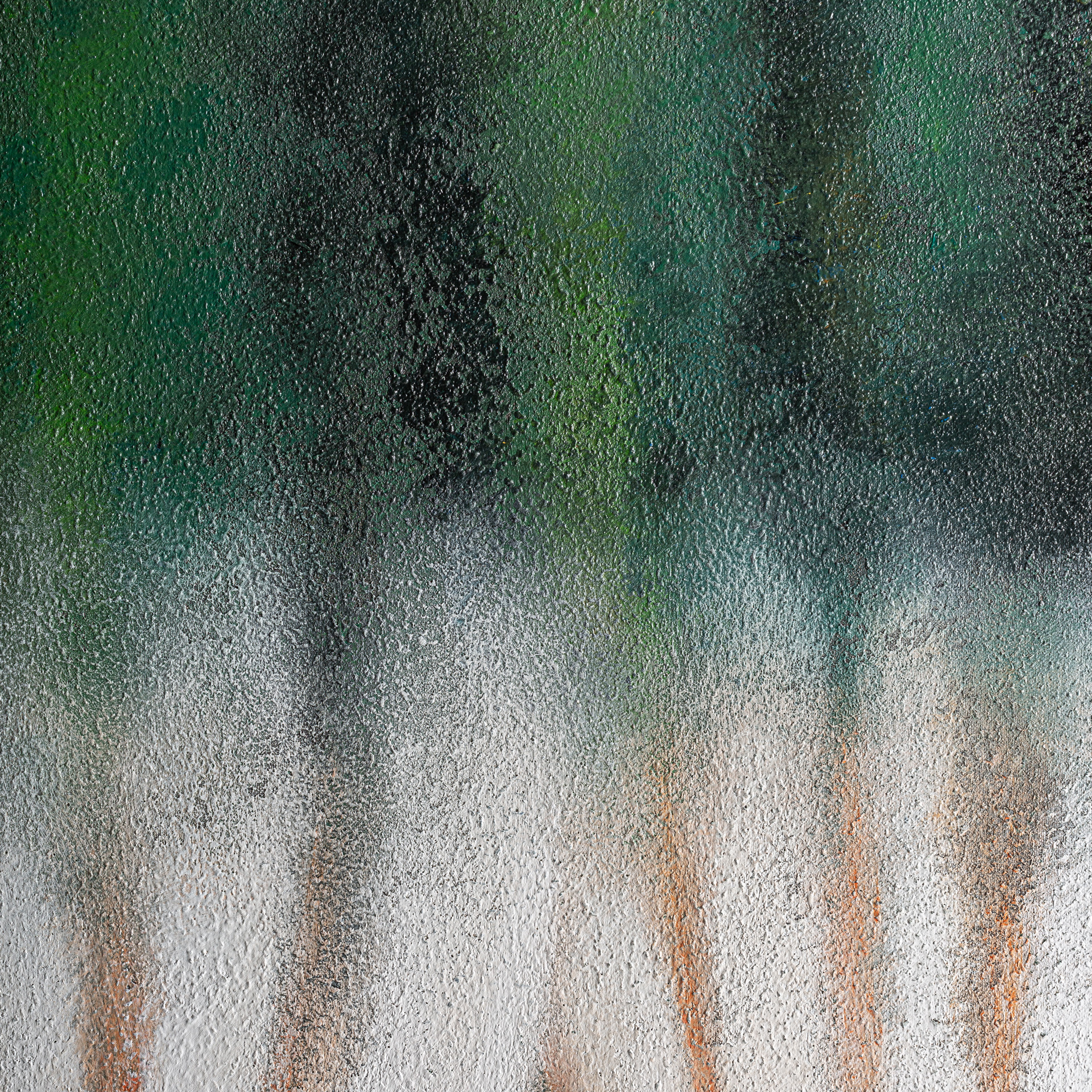 Lienzo Alerce - Imagen 2