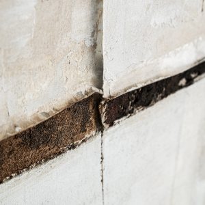 Cuadro Unai de estilo contemporáneo fabricado en lienzo en color tonos en marrón combinado con madera de pino en color marrón.