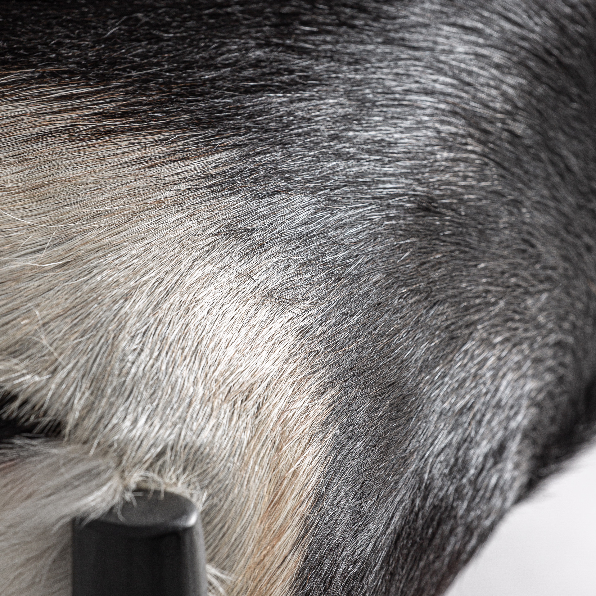 Sillón Kasher - Imagen 6